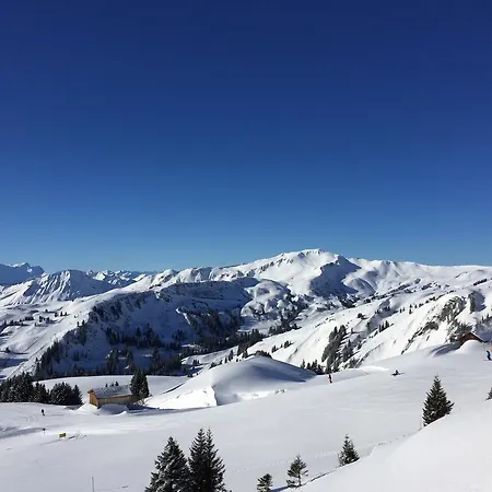 Gaestehaus Manuela Puchmayr Mellau
