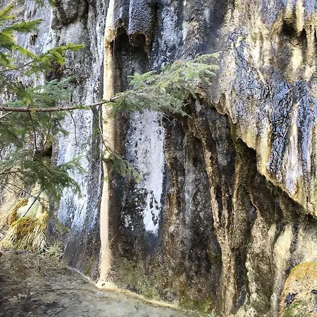 Gaestehaus Manuela Puchmayr 4*